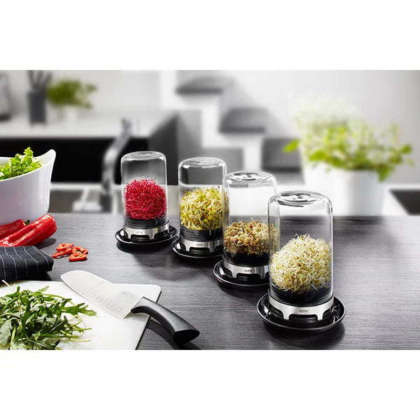 Mini-serre en verre pour jeunes pousses Bivita Gefu - Image 2