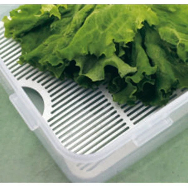 Boîte basse à salade et grille fraîcheur 3,9 L Lock and Lock - Image 2