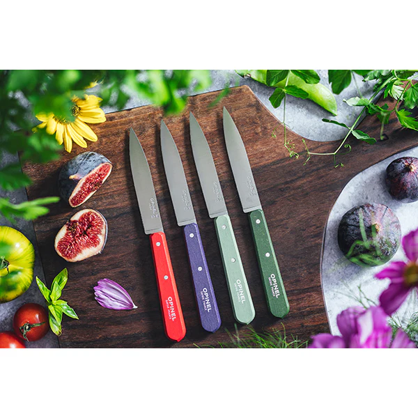 Coffret 4 couteaux d’office Essentiels Paysage  Opinel - Image 2