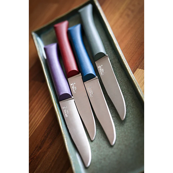 Coffret 4 couteaux de table Glam Opinel - Image 2
