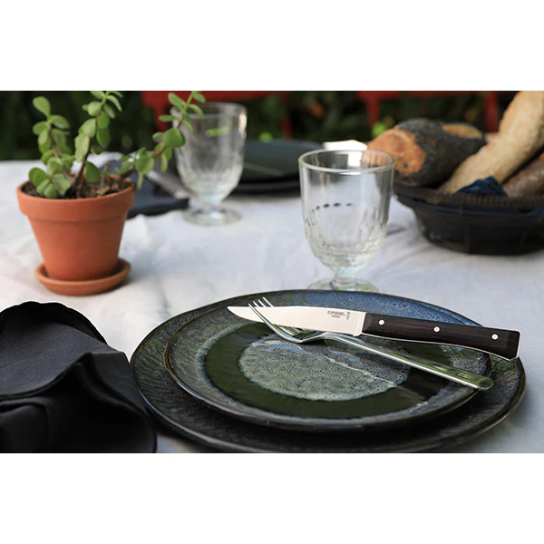 Coffret de 4 couteaux de table Ă lame lisse Facette frĂȘne sombre Opinel - Image 3