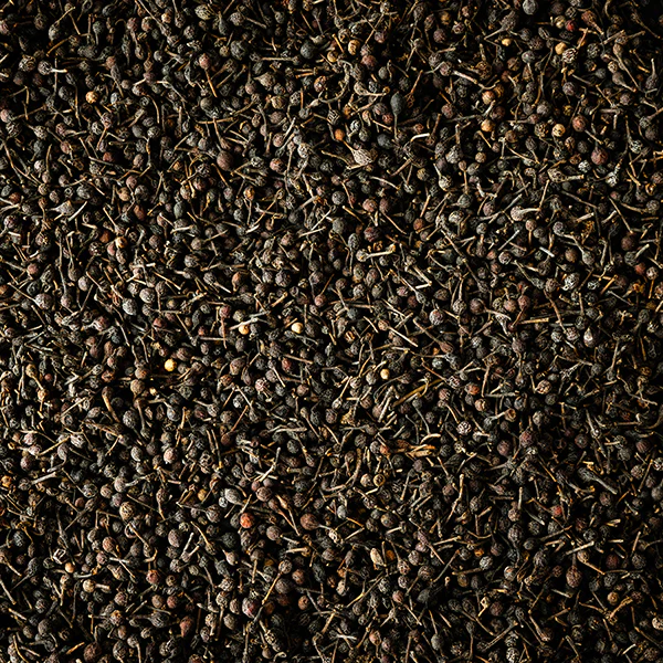 Poivre sauvage Voatsiperifery 3 x 20g Peugeot - Image 3
