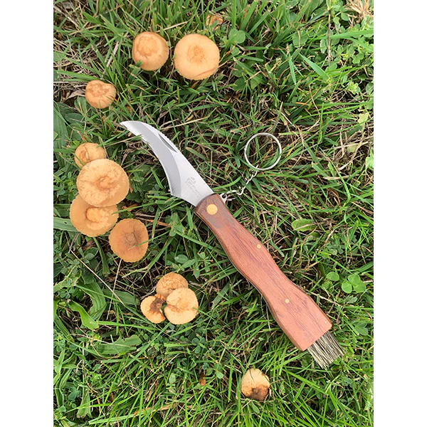 Couteau à Champignons 7 cm avec brosse Evasion Pradel Excellence - Image 2
