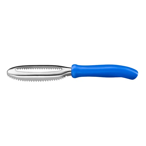 Ecailleur Ă poisson bleu Sabatier International