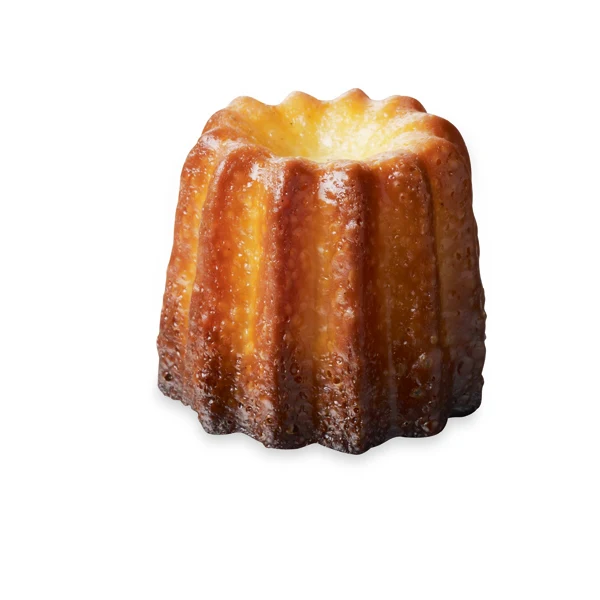Set de 2 Elastomoules canelés et mini-canelés De Buyer - Image 2