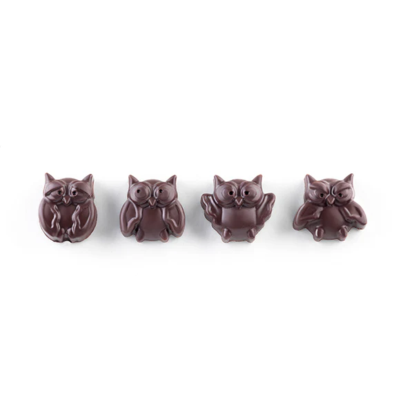 Moule en silicone 12 chocolats chouette Silikomart