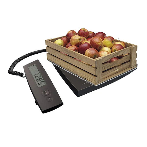 Balance maxi 100 kg PC100  Terraillon - Image 2